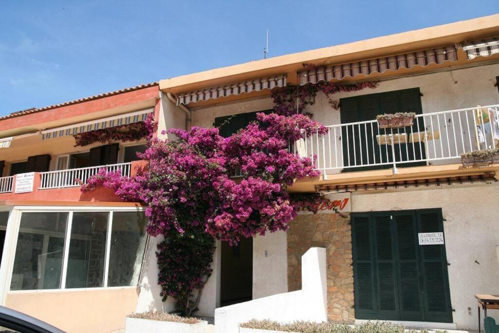 Appart Hyeres-Presqu'Ile De Giens-La Capte ภายนอก รูปภาพ